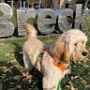 Meet your Posher, Elin